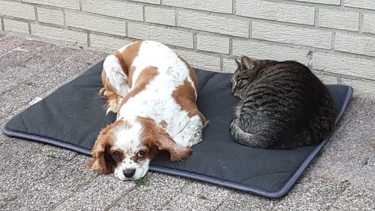 Eurode grenzenlos - Drei Länder in greifbarer Nähe Aachen Exterior foto